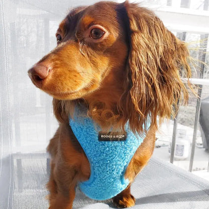 Electric Blue Adjustable Teddy Fabric Dog Harness - Perfect Comfort & Style for Your Pup!