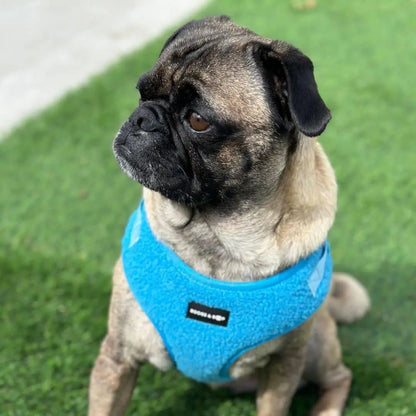 Electric Blue Adjustable Teddy Fabric Dog Harness - Perfect Comfort & Style for Your Pup!